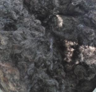 Teeswater Long Locks 0.9 Ounces